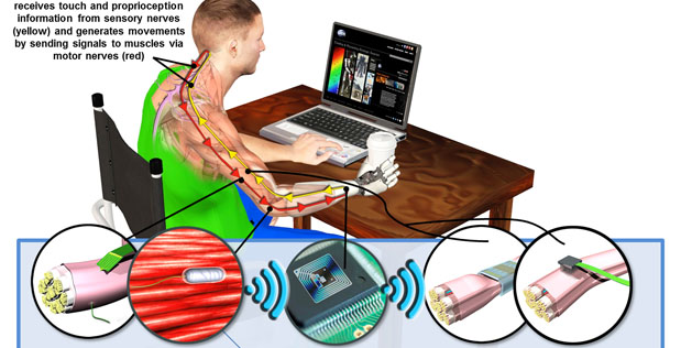 HAPTIXDiagram 619x316 (1)