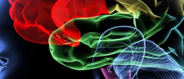 Le cerveau humain simulé sur ordinateur