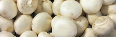 Les emballages à base de champignons sonneront-ils la fin des emballages en polystyrène ?