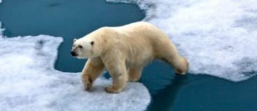 COP 21 : des paroles... et des actes ?