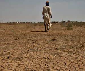 COP21 : les 100 milliards de dollars de la discorde