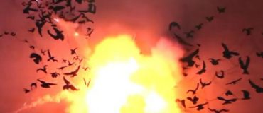 Vidéo : des matériaux inhabituels dans l'art contemporain