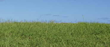 Enjeux économiques des polymères biosourcés