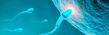 Les produits chimiques menacent la fertilité