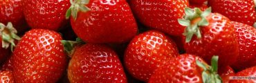 Cultiver des fraises qui ont du goût dans des containers