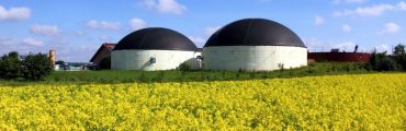 La filière biogaz dans la tourmente