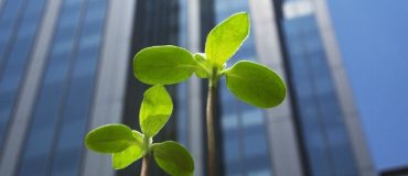 Préserver les écosystèmes augmente la rentabilité des entreprises