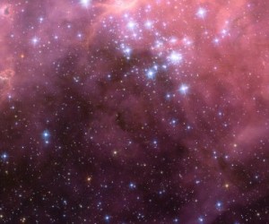 Détection du premier pulsar gamma extragalactique