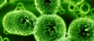 Détecter les pathologies grâce à un nez électronique