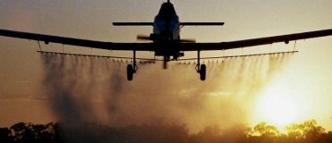 Ecophyto 2 : un peu moins de pesticides !