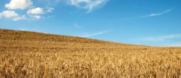 Une invention danoise permettrait de réduire significativement la consommation de pesticides dans l’agriculture