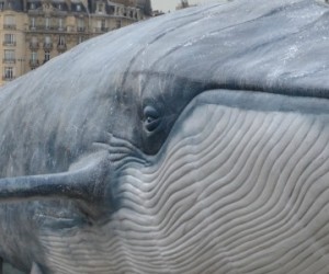 COP21, des oeuvres monumentales dans Paris