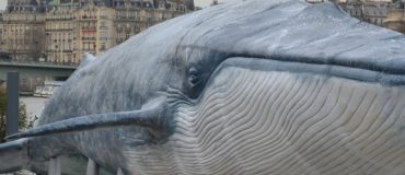 COP21, des oeuvres monumentales dans Paris