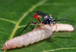 ENNiKVu0iQM2GHCzvttYHTl72eJkfbmt4t8yenImKBVvK0kTmF0xjctABnaLJIm9