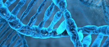 Guêpe parasite Venturia : le complice viral démasqué