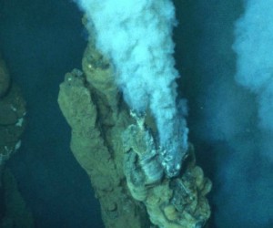 Ressources océaniques : le trésor intouchable ?