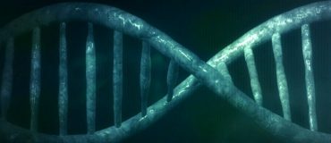 Notre intelligence est-elle déterminée par nos gènes ?