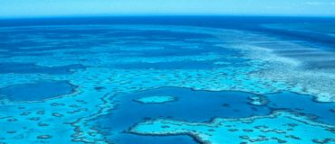 Diminution des récifs coralliens : quelles causes ?