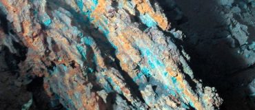 Les ministres français peu concrets pour défendre la biodiversité