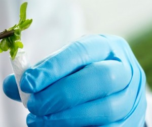 Biotech : « il est urgent de faire venir des capitaux privés ! »