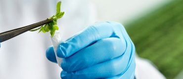 Biotech : « il est urgent de faire venir des capitaux privés ! »