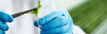 Sup'Biotech et Ipsos lancent le premier observatoire des métiers des biotechnologies