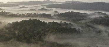 La déforestation se durcit en Amazonie