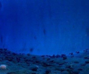 Fukushima : Tepco prêt à ériger son mur de glace