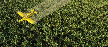 Pesticides : une avancée majeure dans l’évaluation des risques cumulés