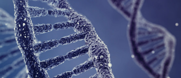 Génie génétique : les dérives possibles continuent de CRISPeR le débat