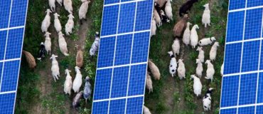 Charbon : l’Allemagne a éliminé l’équivalent de la production de 2 EPR