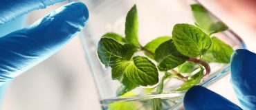 Chimie : le secteur s'est bien consolidé en 2015