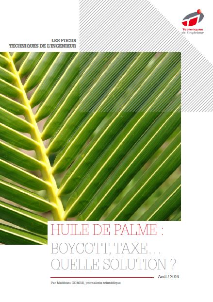 Huile de palme : boycott, taxe… quelle solution ?