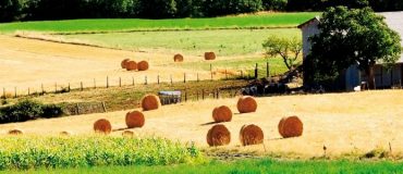 Des riverains agricoles exposés aux pesticides