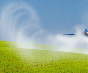 Ecophyto : les pesticides continuent leur expansion !