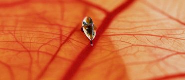 Homme augmenté : où en sont les recherches ?