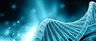 Les nouveaux OGM en débat !