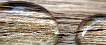 Le bois, un biopolymère composite imprimable en 3D