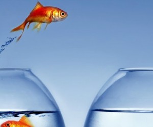 Les intentions de mobilité progressent chez les cadres