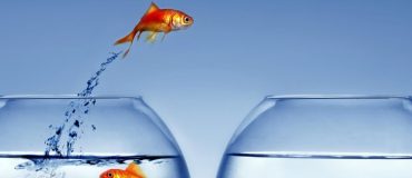 Les intentions de mobilité progressent chez les cadres