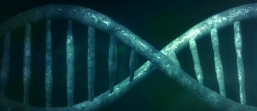 Les clés d'un processus majeur de réparation de l'ADN