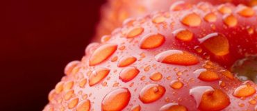 Agroalimentaire : la peau de tomate transformée en bioplastique