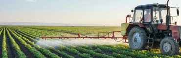 Glyphosate : une bataille entre experts, lobbies et ONG