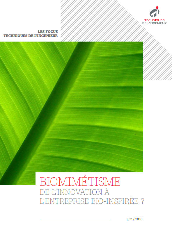 Biomimétisme : de l'innovation à l'entreprise bio-inspirée