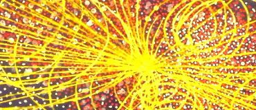 Une nouvelle particule au LHC ?