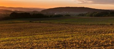 Le bio français en fort développement !