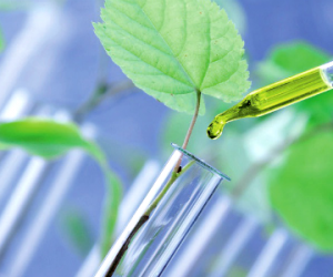 Nouveau président et objectifs « durables » pour la chimie française