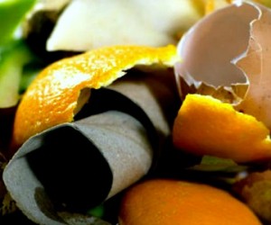 L'Ademe décortique le gaspillage alimentaire