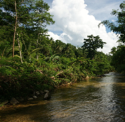 Gestion des ressources naturelles fossiles