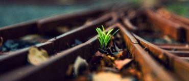 Black-out au Royaume-Uni : le rapport du gestionnaire de réseau